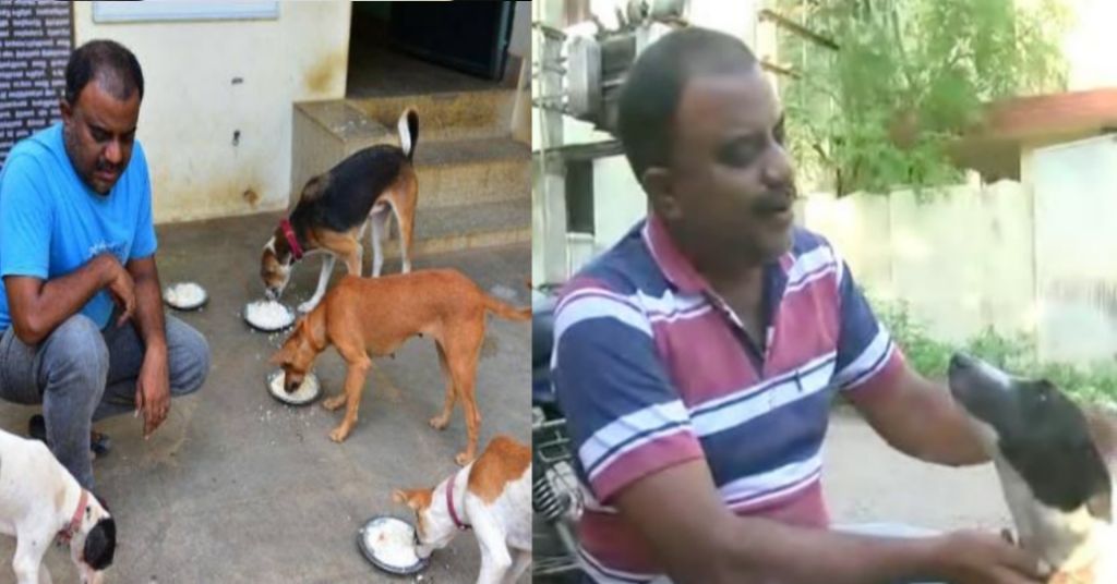 Street dog care taker marimuthu